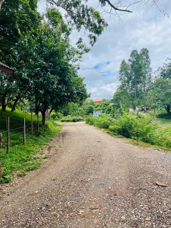 Road between Resort and Main road (3)