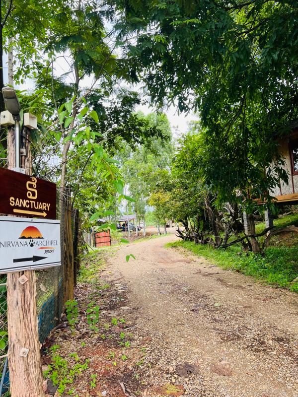 Road between Resort and Main road (3)